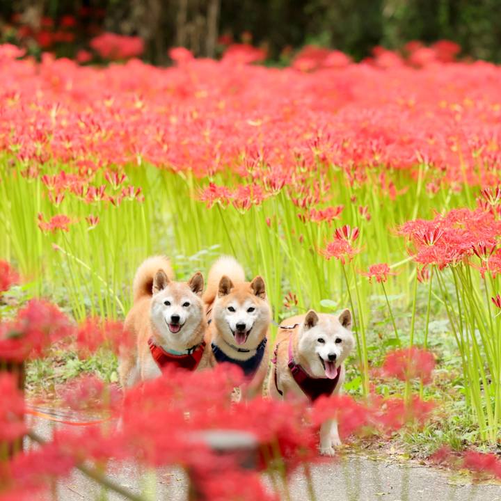 B840149b ddd7 4f94 b5dd e0d5aaeef4da 1759075524058