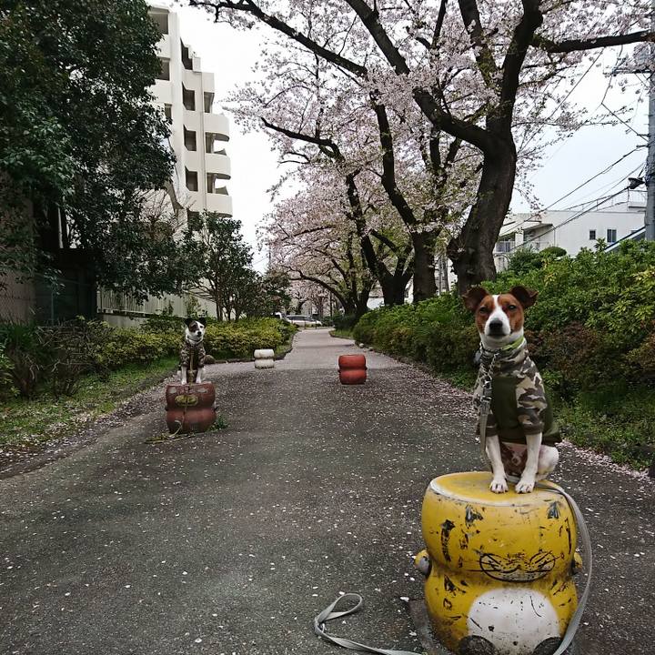 B8401c6c 0064 41b3 8474 2331577b92eb 1585618115184