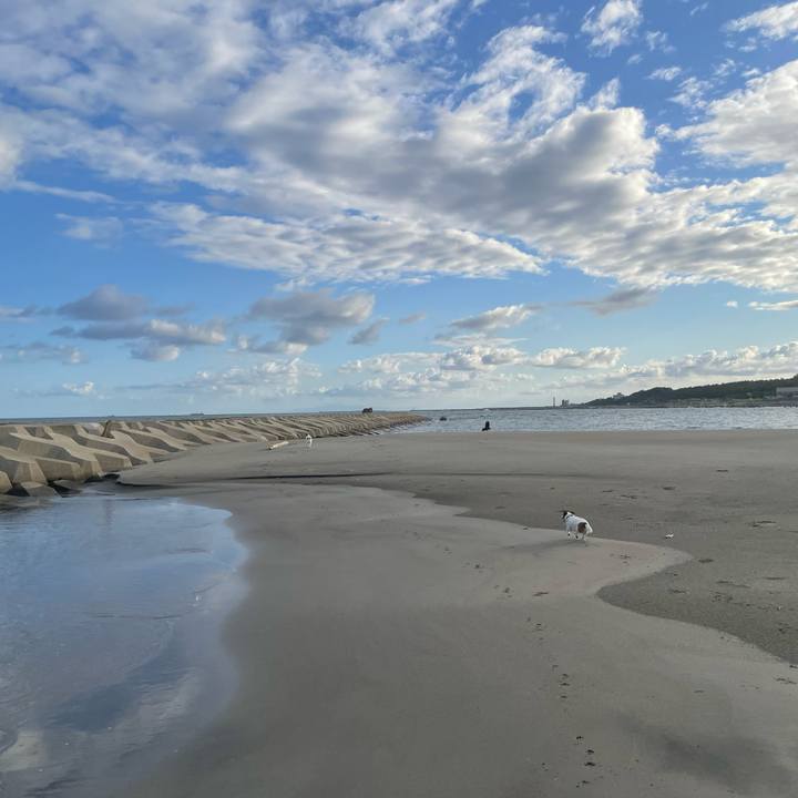 B8405b78 651a 4ef9 9ece f36d19b7f86b 1758846265739