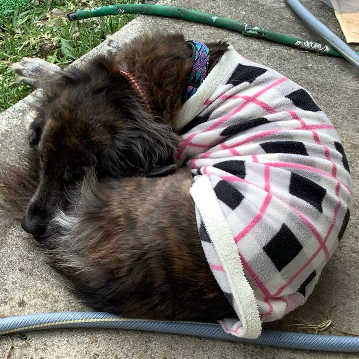 B84068bf 475a 4fab baff 0eb08c6bdb0a 1674715386677