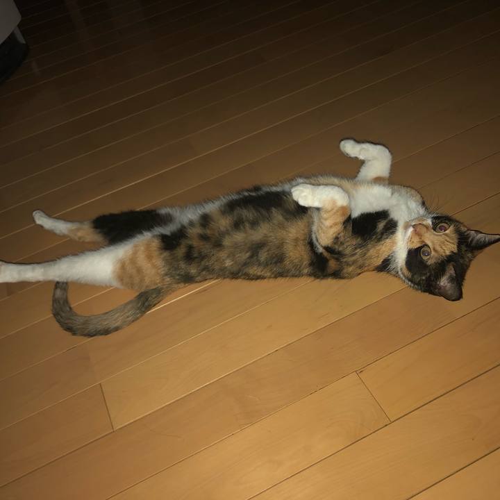 B8406ca2 c32b 46df 824d fee3bc3f5771 1566379751003