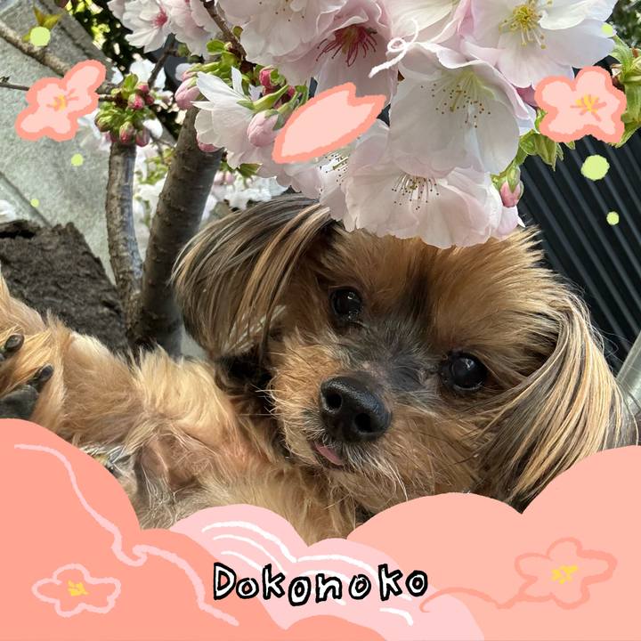 B8407e0f ddab 43df 8c5d d7f93b0d5bfb 1775187740886