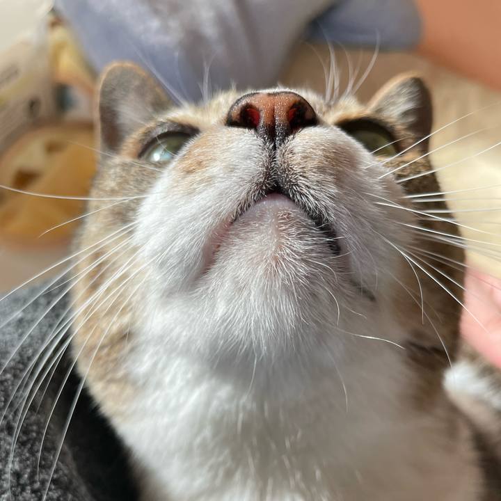 B840d343 e613 47fc 8d25 f3f4b2889b7b 1638582760102