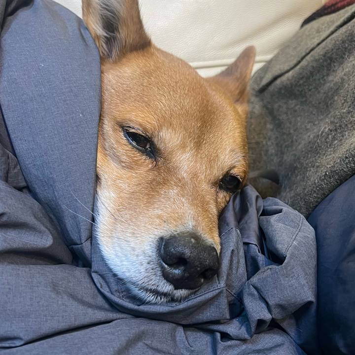 B840ff48 5c63 4f28 9e66 cf1518218fce 1708239563073