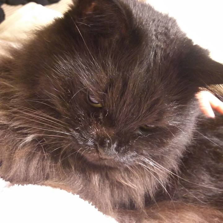 B8412846 5e82 4107 a965 d6ec8b01b080 1570879284892