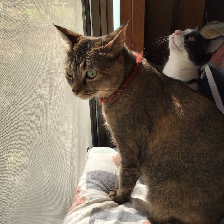 B841448a 541b 488b a3f2 5b8d586b658d 1633309173578