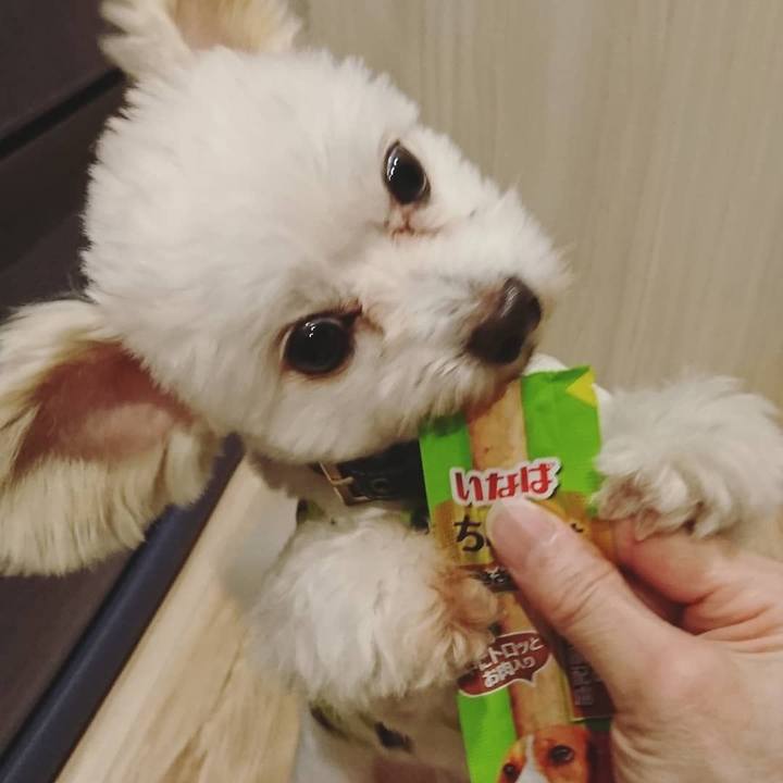 B8415d48 d8a7 4e67 bfac 6053d87185f7 1522936794819