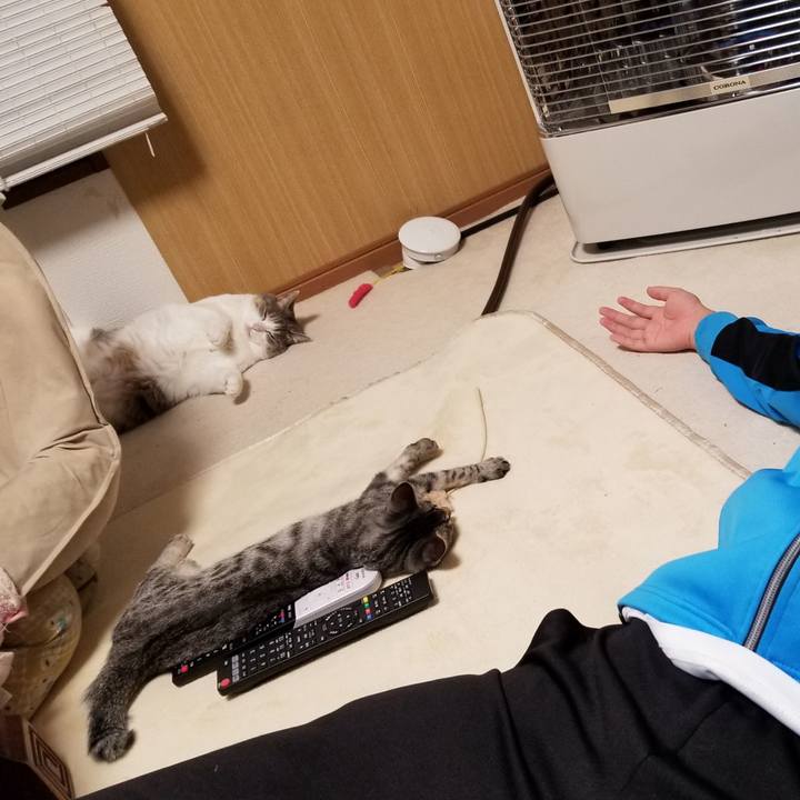 B841668c 592f 4f8e bd7a 48ccca2484c1 1667830340773