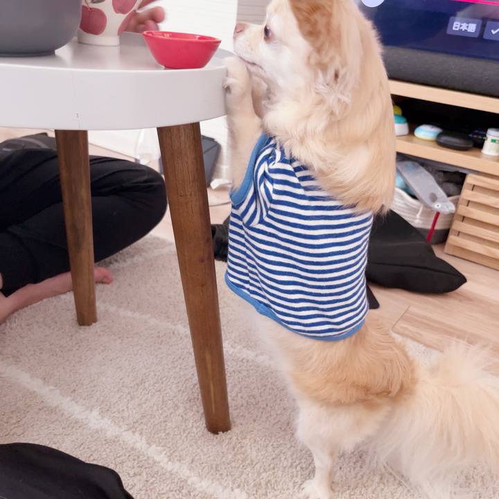 B841671d 740f 4471 9989 42ae94cd0077 1747561712976