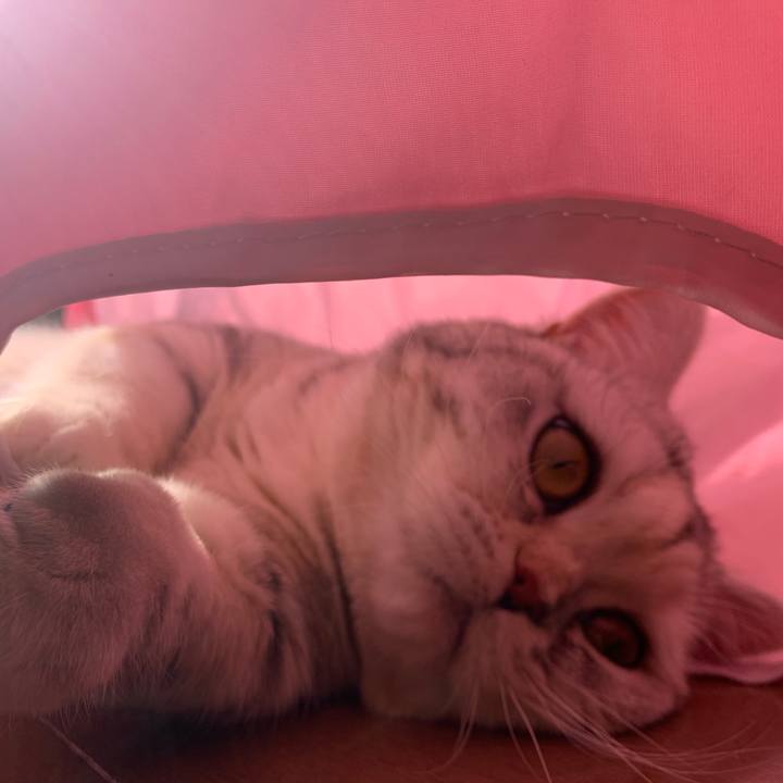 B8419751 1373 4229 a9bf d498ff30d22c 1706921948825