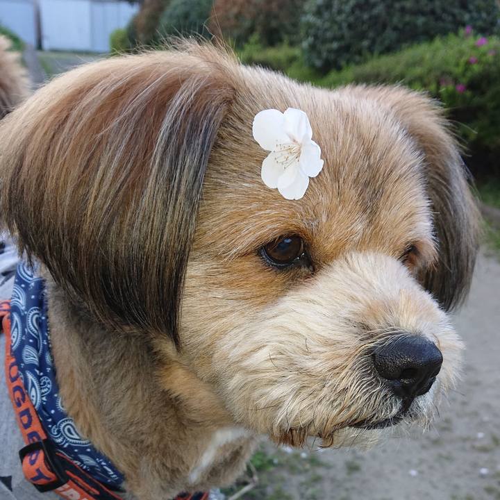 B841f02c 21a7 49bd 9158 cf4feeaec6fa 1554285213718