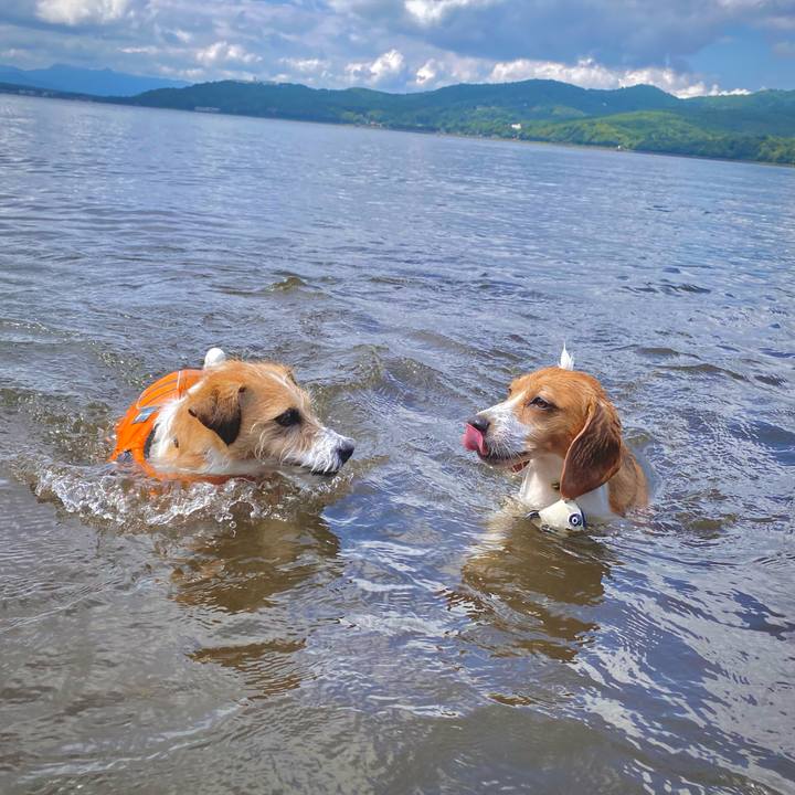 B841fe4d a38e 4842 b715 39a6e00443d4 1661342324031