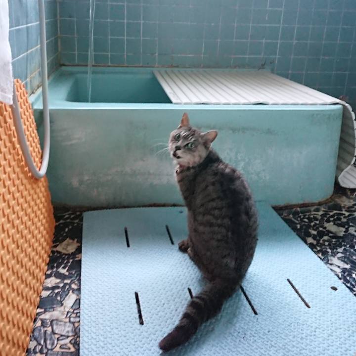 B841fe7e 1297 4f76 84ef f7a7fca9e7e2 1592819486324