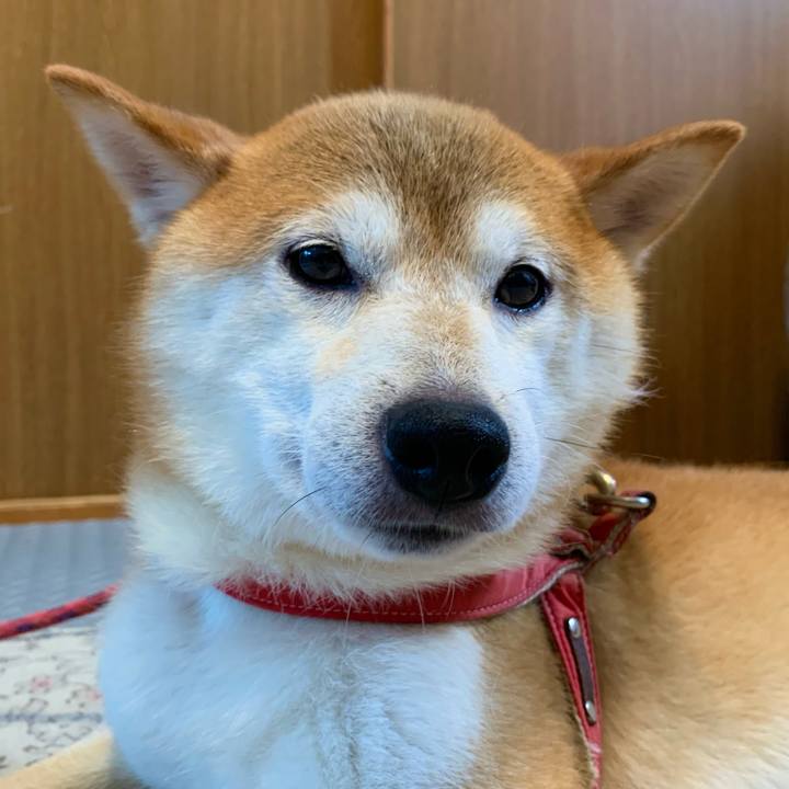 B8421094 aaaf 48e7 86c0 6a54060fe202 1627722526905