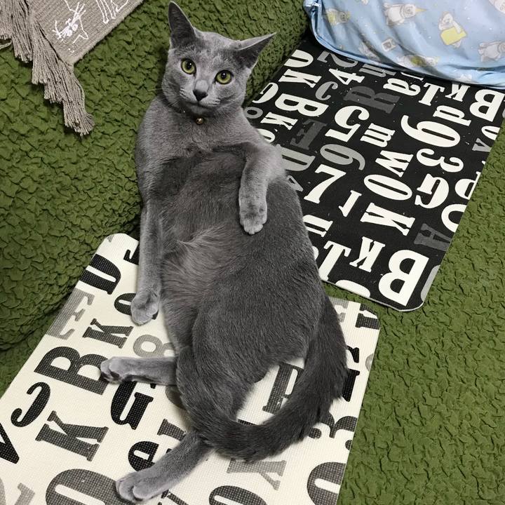 B8424a1f 5d2f 442a 9c44 eb8b2ed9da4f 1525049278449