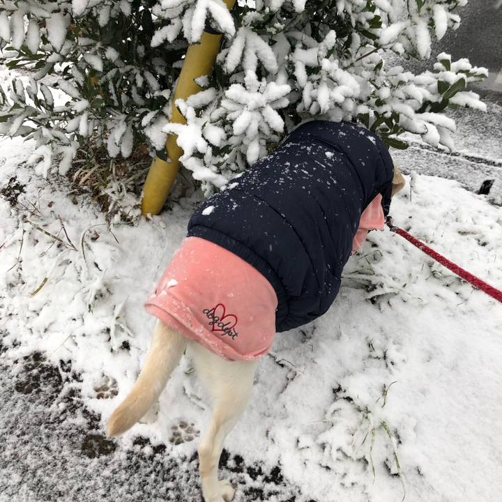 B8426cbe 9acb 4901 8ac5 fb5b6243b09d 1641474812317