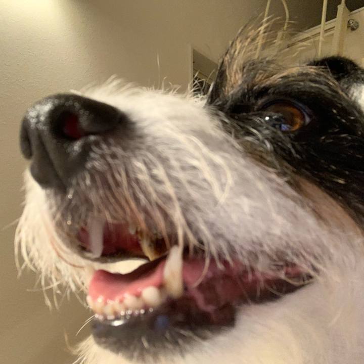 B842743a 2f76 4859 bf2c ee034b613386 1628764412622