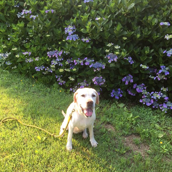 B8428833 2ac6 49b1 8fd3 e92f1caf2390 1559694138800