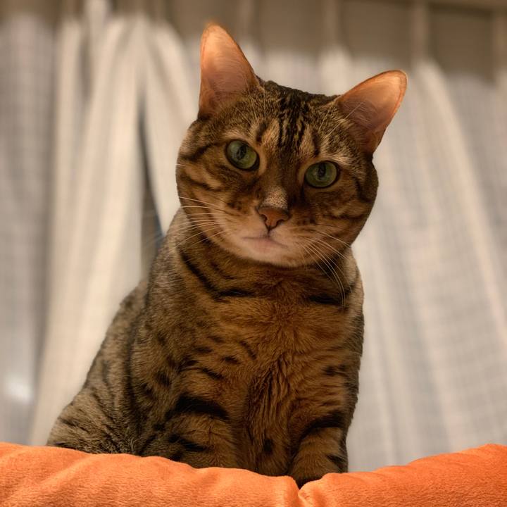 B8428d06 b372 4916 9d1d 7d2d2e6c52a1 1556147565490