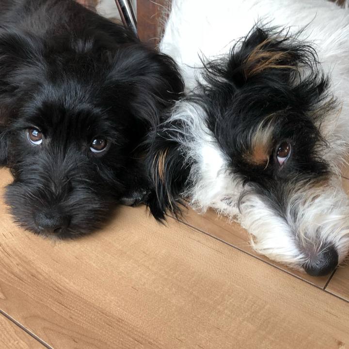 B8429315 a2c5 4321 9037 9fa463985300 1536576969415