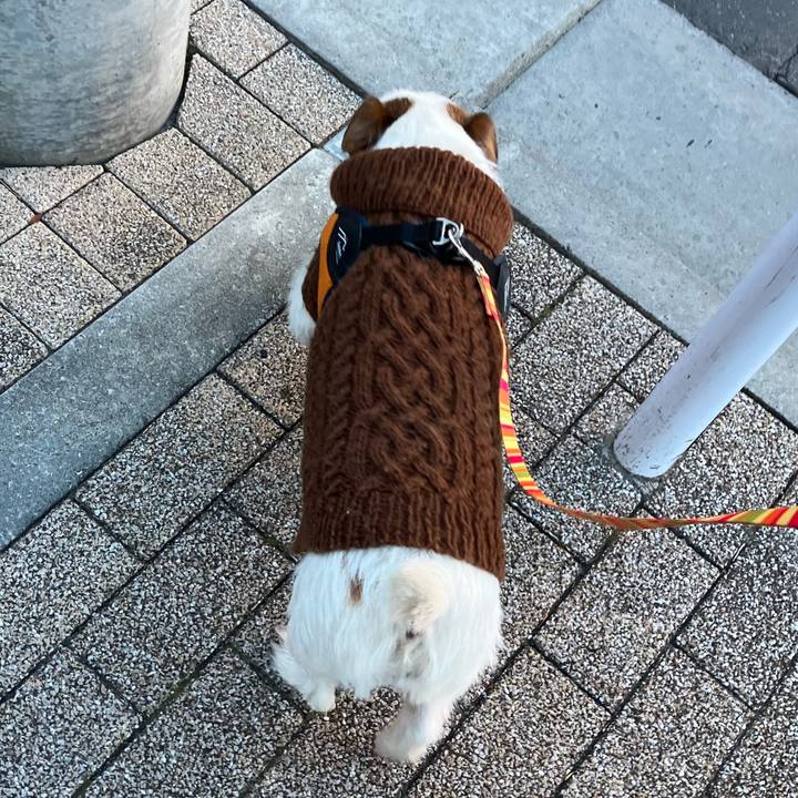 B842d812 900a 4ad9 a24c b66b47825b87 1672910528273