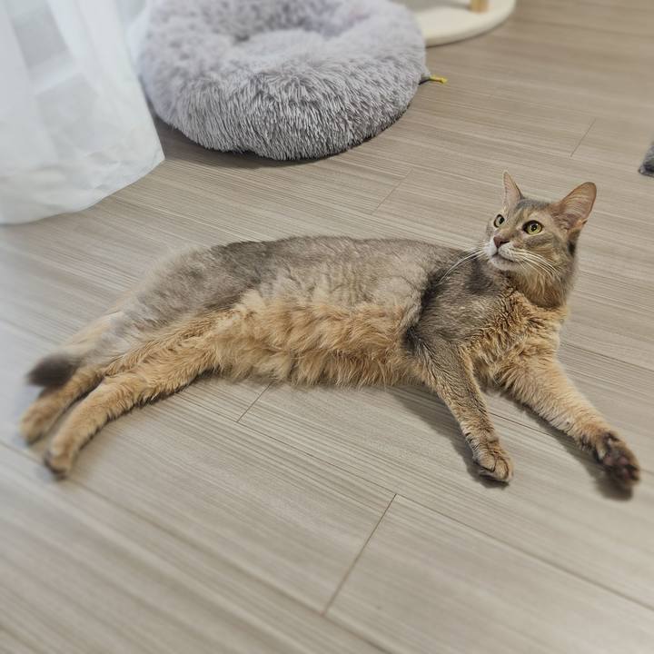 B842efd4 0488 4dee 901d 508224725e91 1773099771717