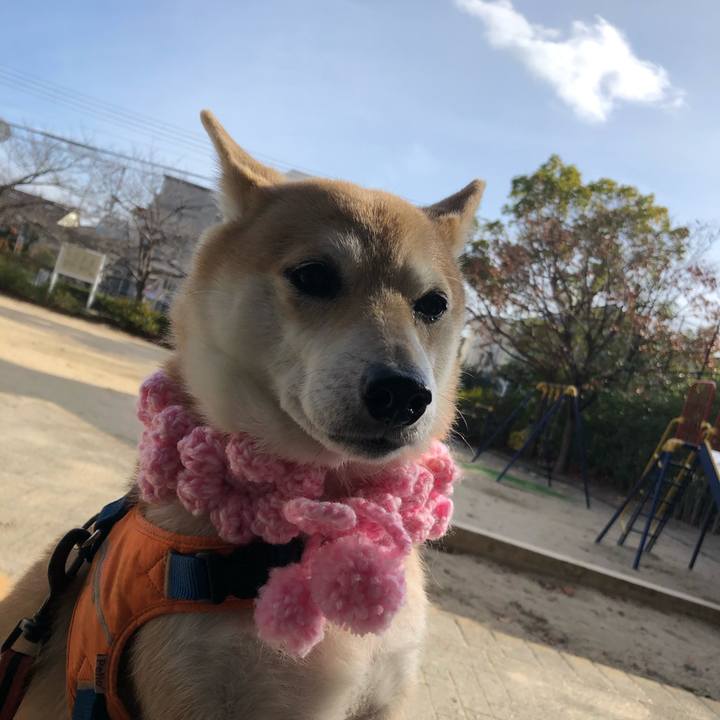 B8431cab 2a2f 4842 8440 641f9ab37eca 1577180767951