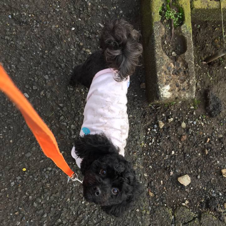 B843296e a14c 41a2 a60e 09aba040039c 1529564739894