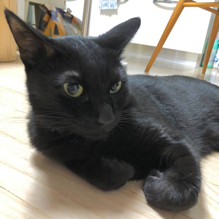 B8433dd8 02da 4491 bb72 ef8b6964f9c0 1600179256000