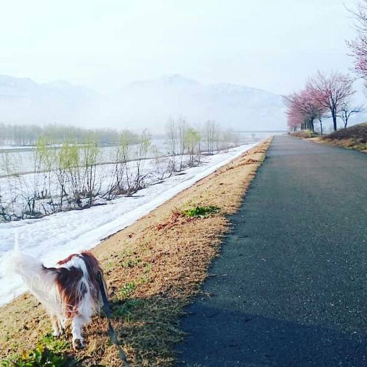 B84352f0 e50f 418a 85e1 e0a088e1948d 1523489663975