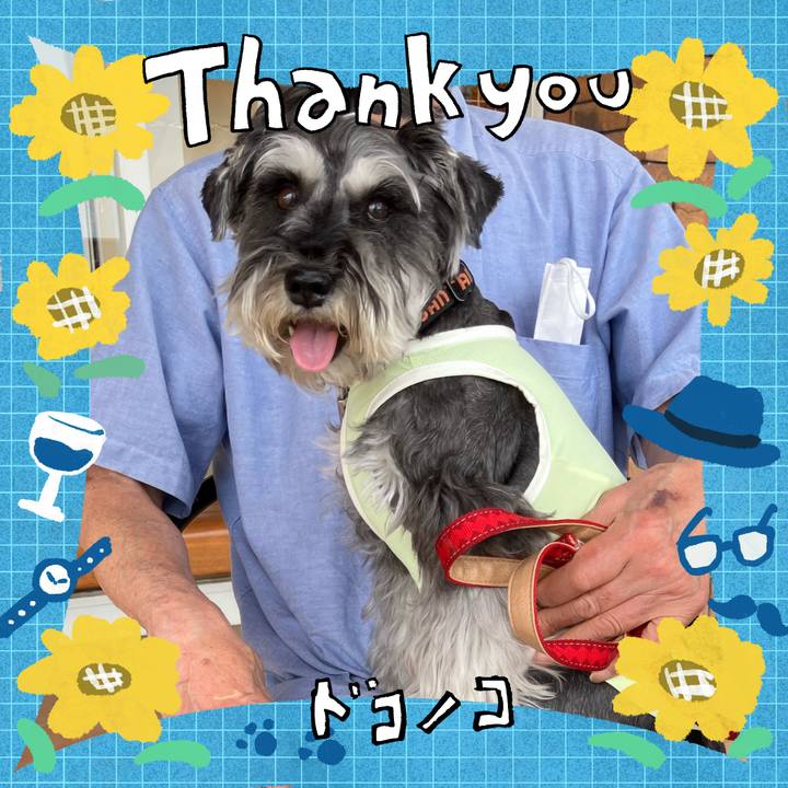 B8435512 3d73 4f44 889c 490422916e4a 1718454295729