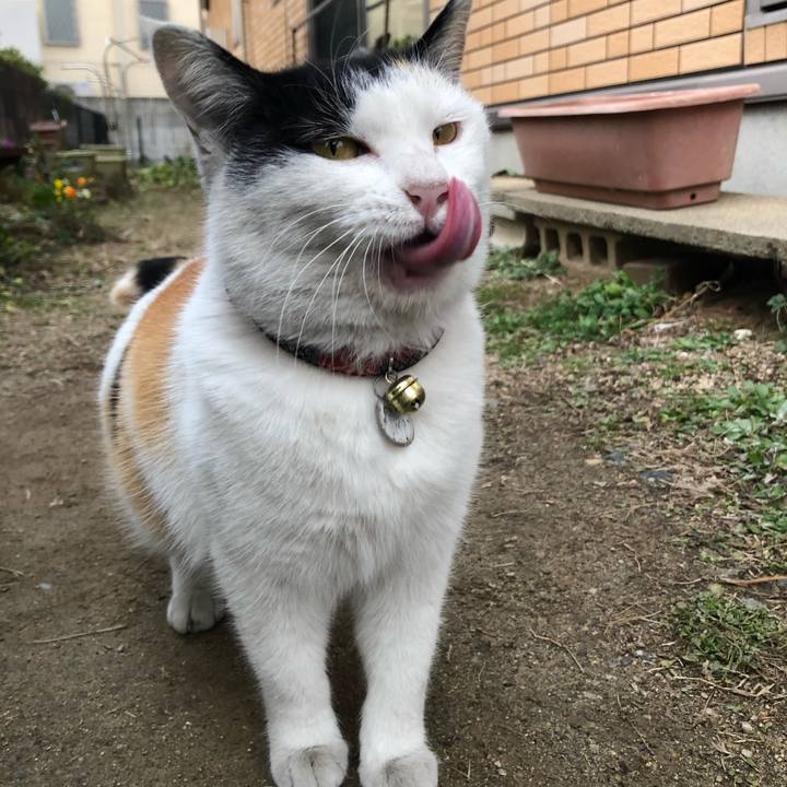 B84369fd b17d 41a0 9f91 2477be234710 1613304547786