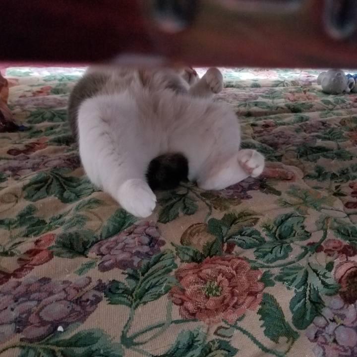 B8437032 115a 471b b935 9e27c4b4e1e0 1538908606906