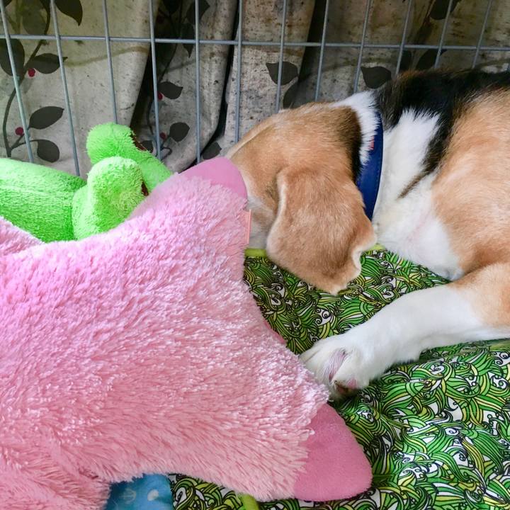 B843be77 179e 4531 9d4d 49c42b4ac8a8 1562905427809