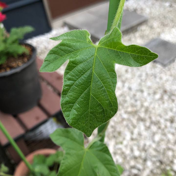 B8442419 128f 425b 934b 2d85437bc8ef 1591484369014