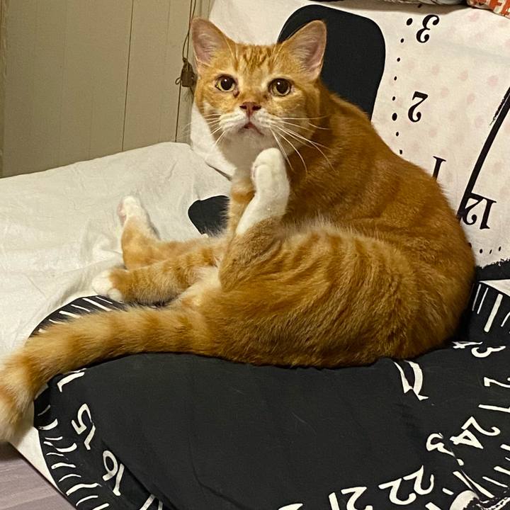 B8442afc 0ed3 43d7 9824 dbc9b3b90983 1626777820841