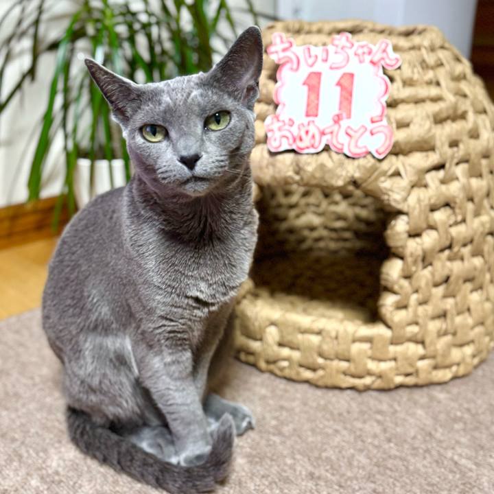 B84437e6 c3f9 442c 9c15 7af7af05c883 1768567146320