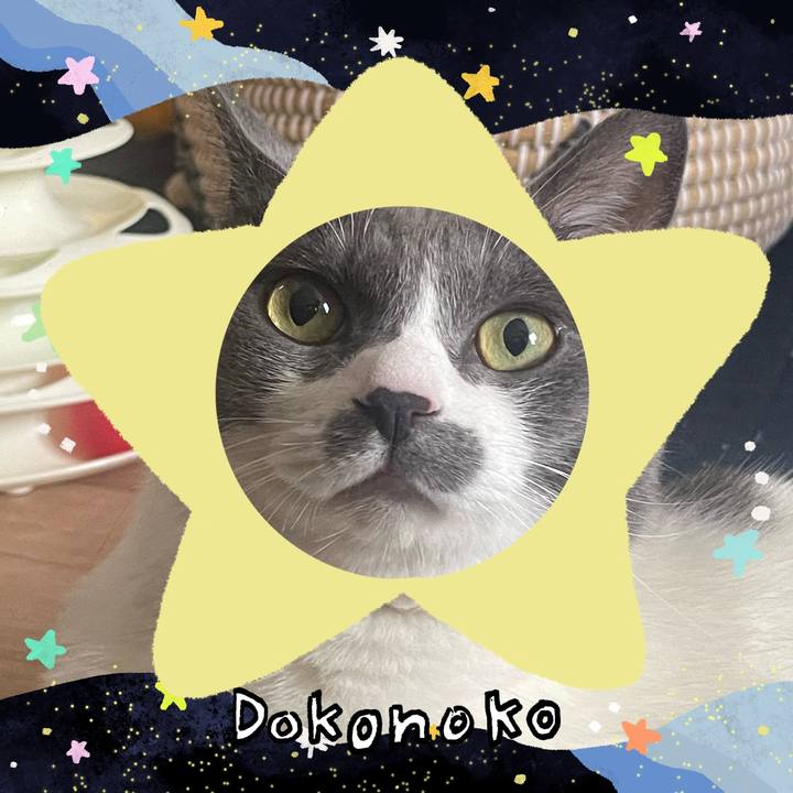 B84440b3 76d9 419a 8a04 f81c66bc14df 1721088149949