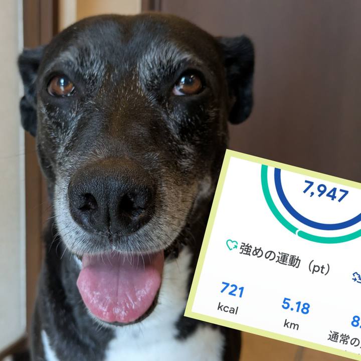 B8444fce c64f 413f 90b9 69a2cc0dafdd 1760403193837