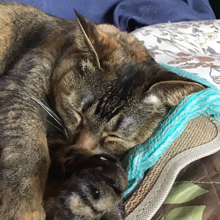 B844896c e314 4f3d a820 71bd5e9c596b 1742449601229