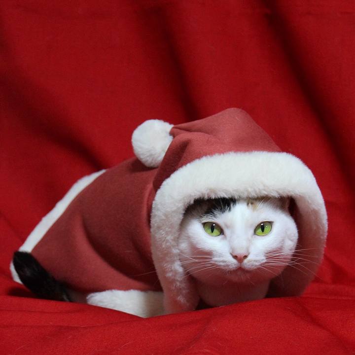 B844c7cb 1a5f 49ea ab7c 64ecd32a3fad 1671978041374