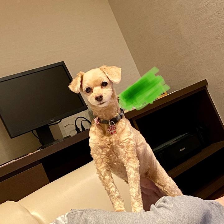 B844e58e d69e 4ff7 a792 6e71e9f9eaf5 1595549558579