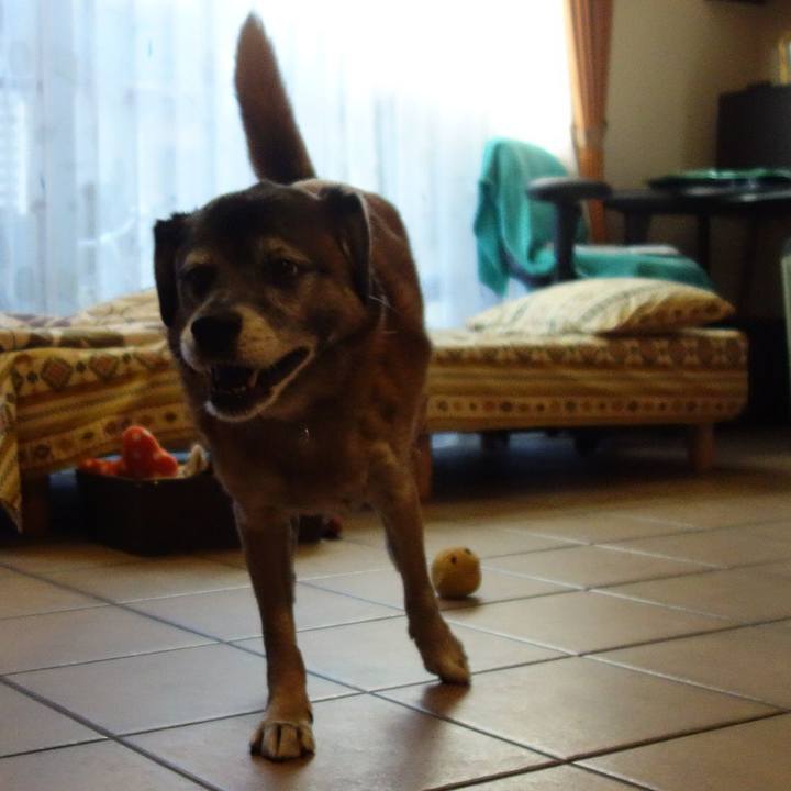 B844ec1a cf5c 4cf2 a394 504e80191a99 1652230402929