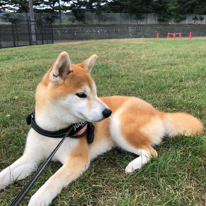 B8450aca 12a6 4cf6 afb5 c5c59f273d3f 1563927063571