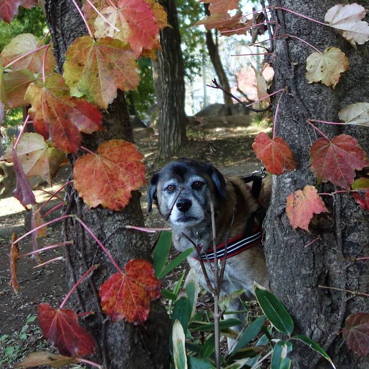 B8452ffb 8eba 474a 9943 64360f57a1e0 1620261504592