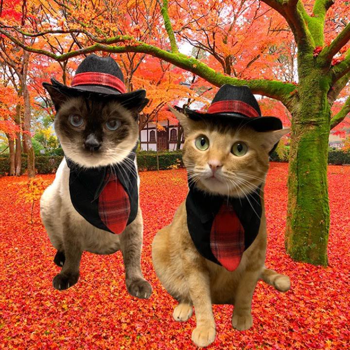 B8453632 d1a8 4573 a010 c19baa697b75 1603791072337