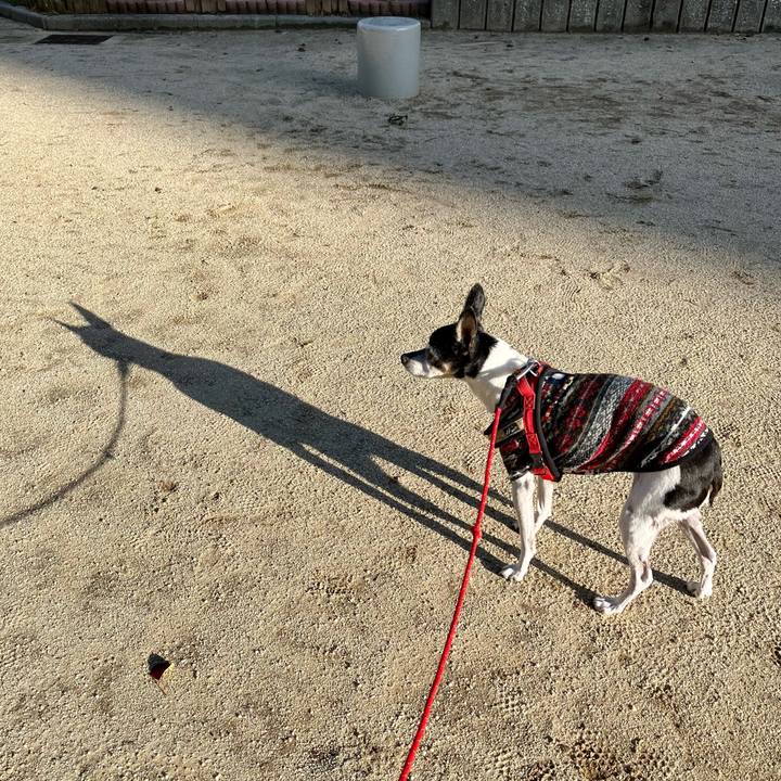 B8454b4b f591 41e0 87cf 869f84927f8b 1637629230865