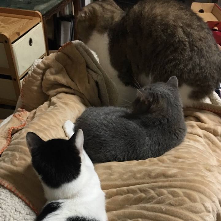 B8455011 cd28 4f02 b2d9 57f112bdf7d4 1541548918721