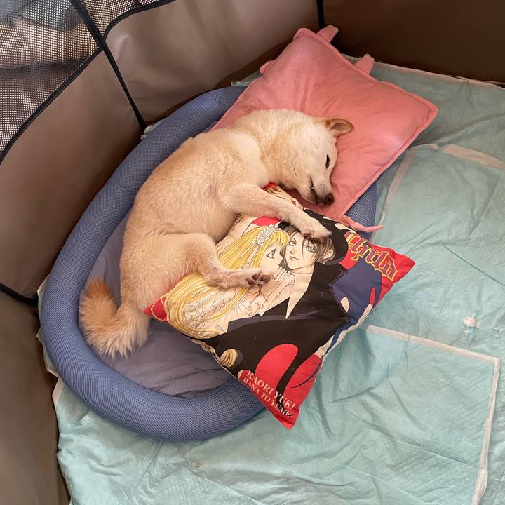 B845821d 17cc 498c 8ef2 b1c650d39b07 1656388523260