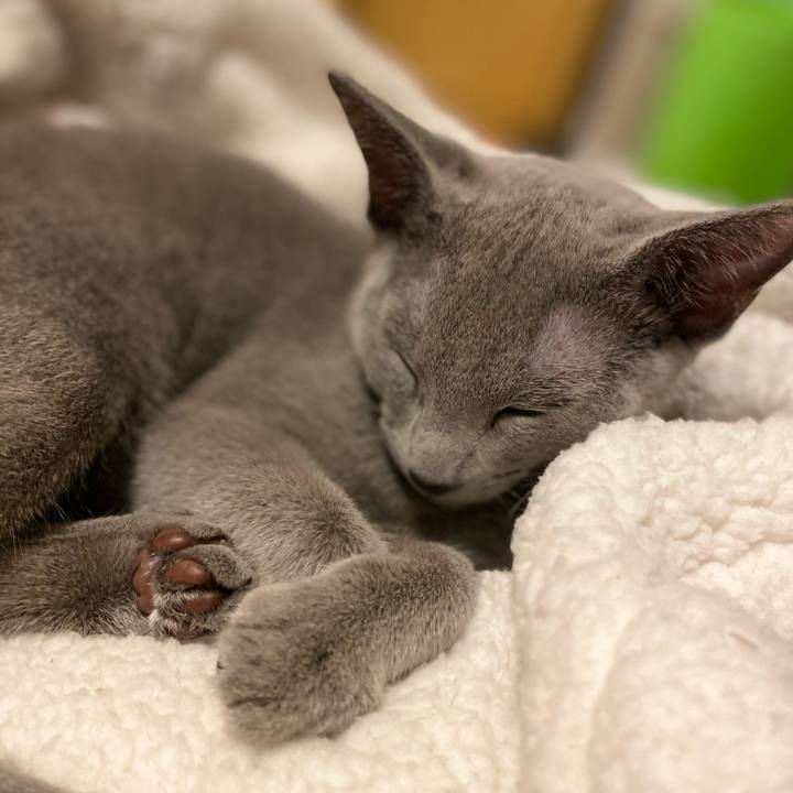 B845a8c8 a682 4821 adbe 5474e6a80584 1607521052031